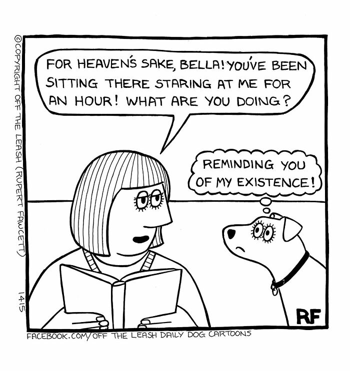 Comic from Off The Leash showing a woman reading a book while her dog stares, reminding her of its existence.
