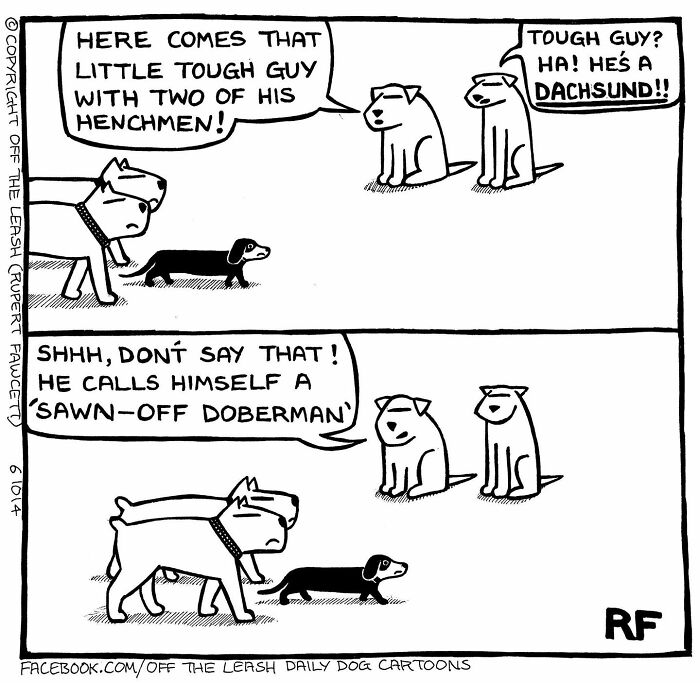 Comic panel from Off The Leash showing dogs humorously discussing a dachshund who calls himself a sawn-off Doberman.