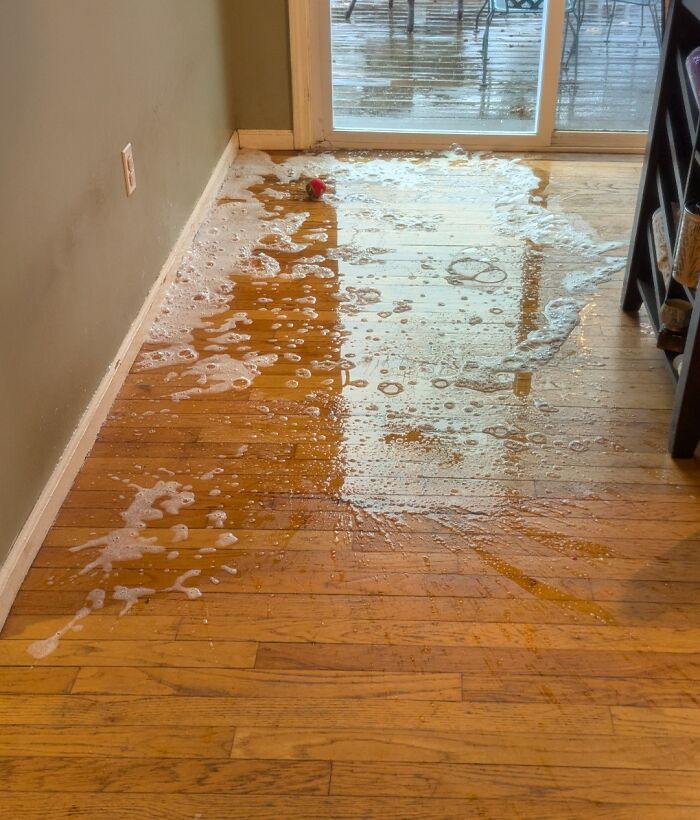 Patch of spilled soapy water flooded on hardwood floor near sliding glass door, showing clueless partner mishap.