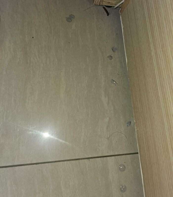 Tiny shards of broken glass scattered on tiled floor, showing a clueless partner's careless mishap.