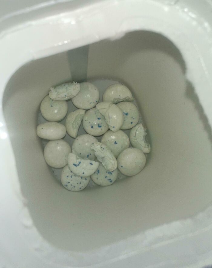 Partially crushed white tablets with blue specks inside a white rectangular container, showing clueless partner mistake.