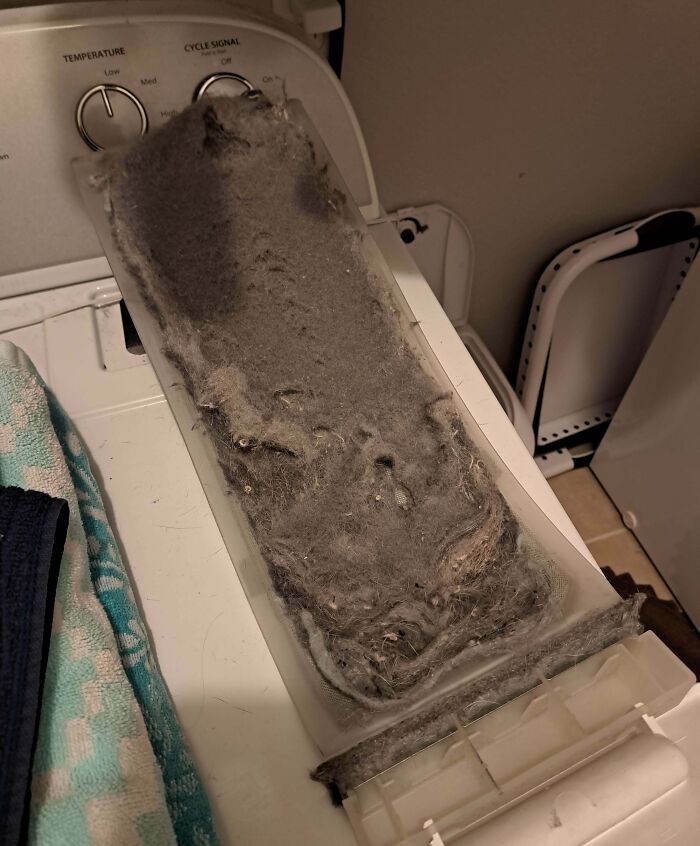 Laundry lint trap clogged with excessive dust and fibers, showing how clueless some people’s partners are about cleaning.