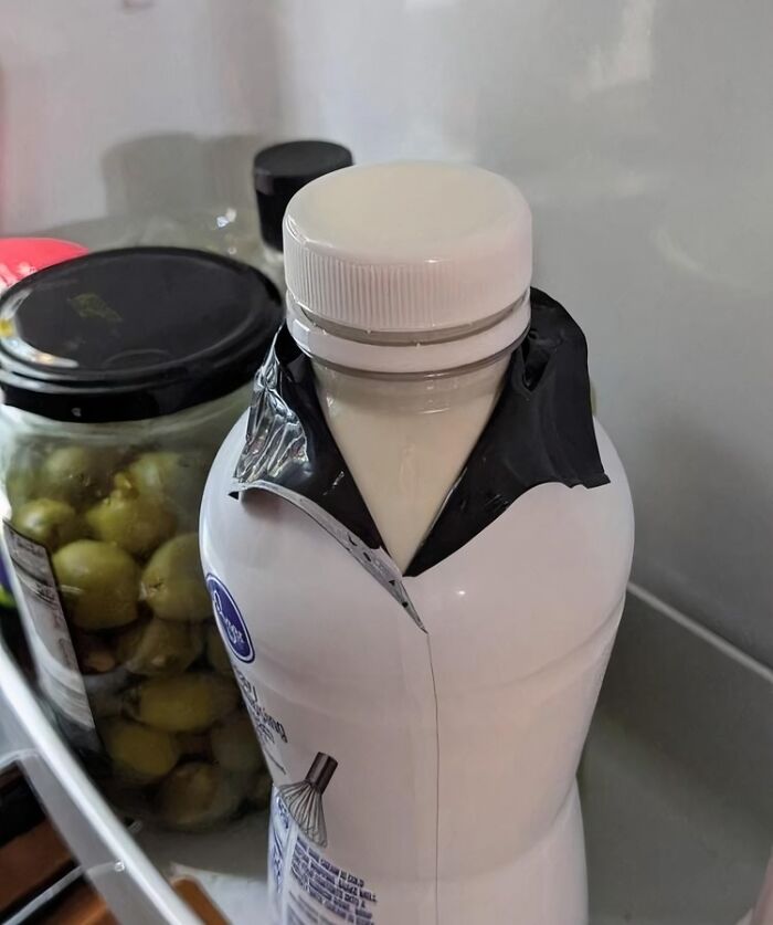 Milk bottle with peel-back label resembling a tuxedo, inside a fridge next to a jar of pickles, a blessed image to smile at.