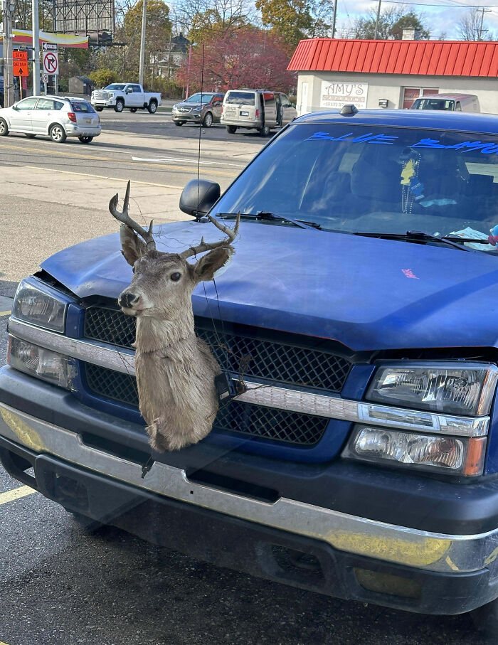 Blue truck with an outrageous car mod featuring a mounted deer head on the front grille in a parking lot.