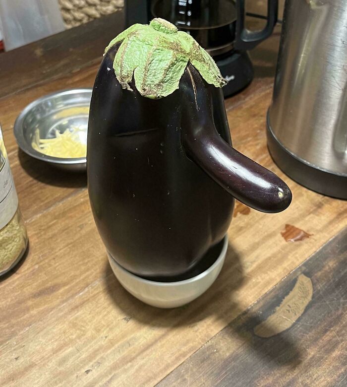 Eggplant with a unique shape resembling an arm, standing in a small bowl on a wooden table, mildly interesting sight.