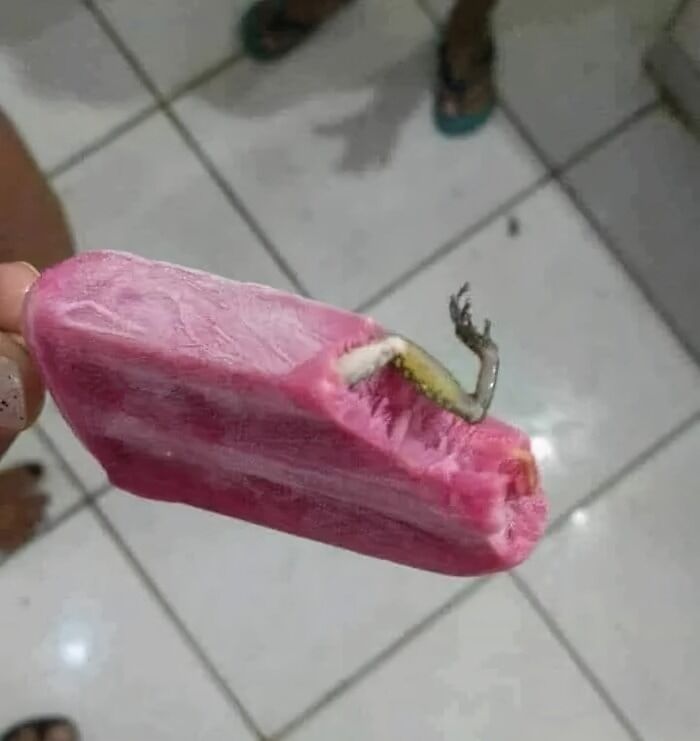 A cursed picture of food showing a pink popsicle with a small animal leg embedded inside.