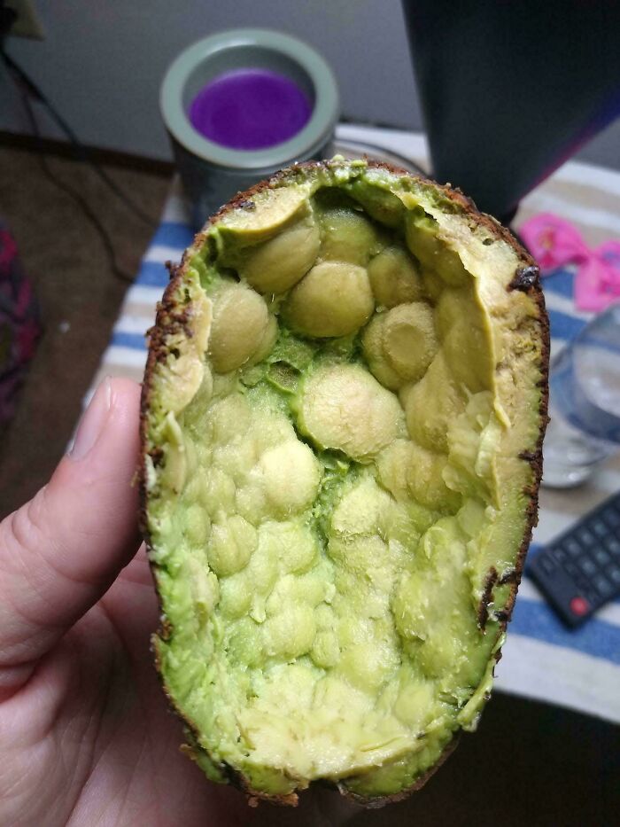 Hand holding a mildly interesting green fruit with unusual bubbly texture inside, showcasing unique natural pattern.