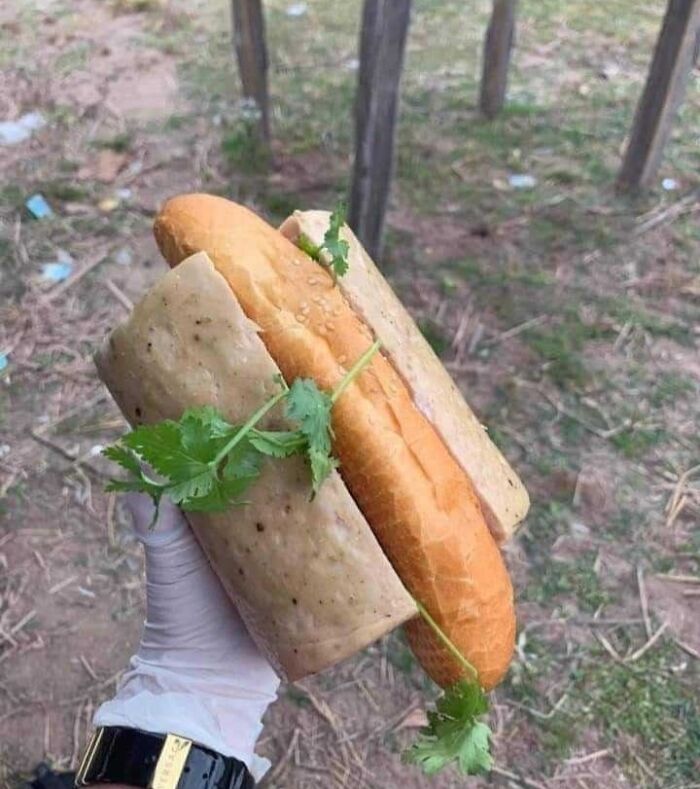 Hand wearing glove holding a cursed picture of food with bread and cilantro in an unusual arrangement outdoors.