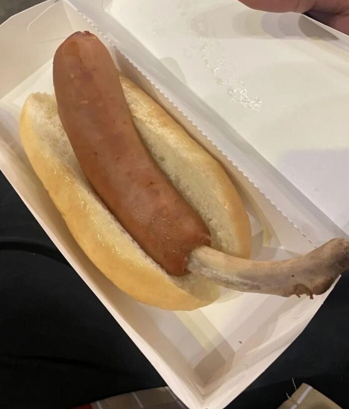 Hot dog with a bone-in sausage placed in a bun inside a white takeout container, a cursed picture of food.