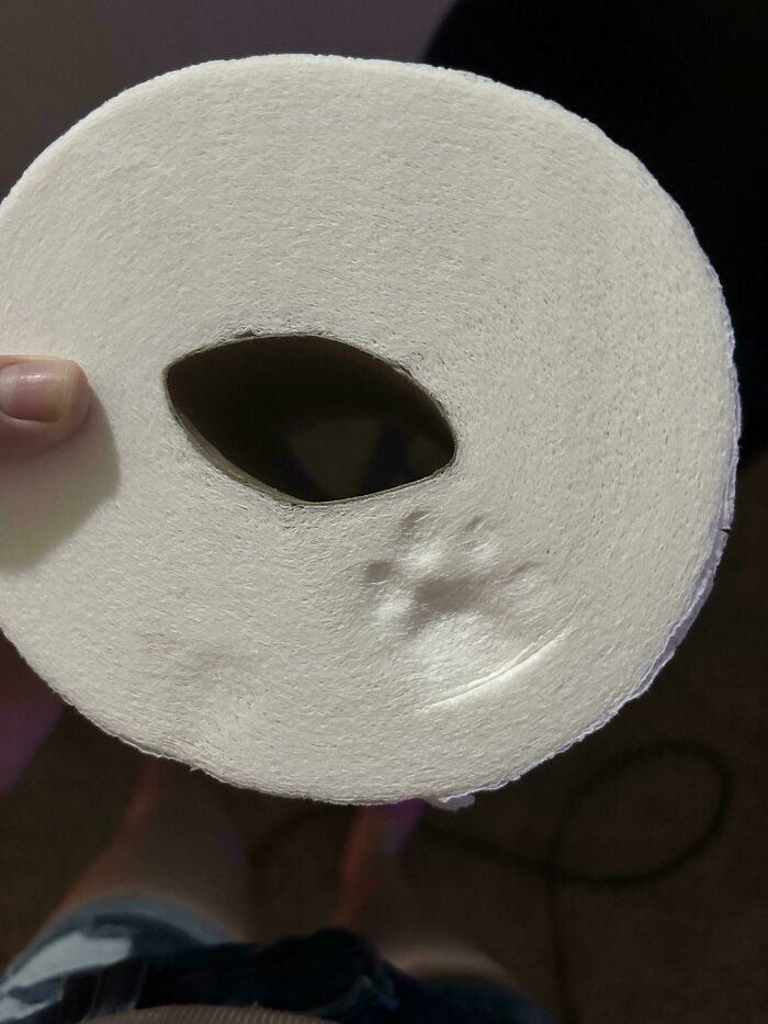 Roll of toilet paper with a small paw print indentation, a mildly interesting moment people wanted to share.