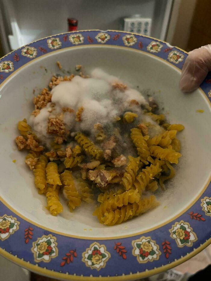 Moldy pasta with food leftovers in a plate, showing a funny unfortunate situation of forgetting to eat or clean the meal.