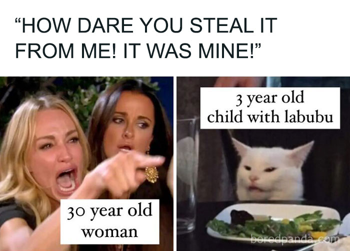 Meme with a woman yelling and a cat captioned as a 3 year old child with the Labubu doll, sparking Labubu Doll memes online.