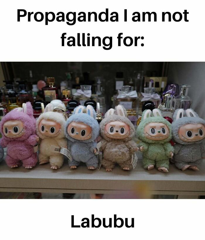 A row of colorful Labubu dolls in fuzzy animal costumes displayed on a shelf, sparking hilarious memes online.
