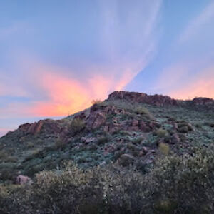 desertsunshine avatar