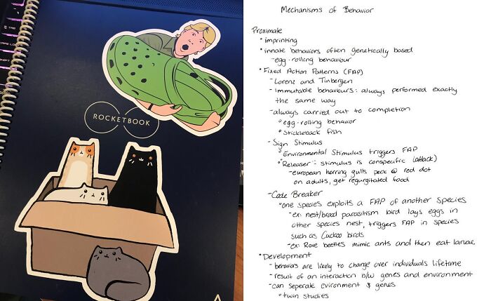 Notebook with stickers and handwritten student notes, preparing syllabuses for back-to-school Prime Day deals.