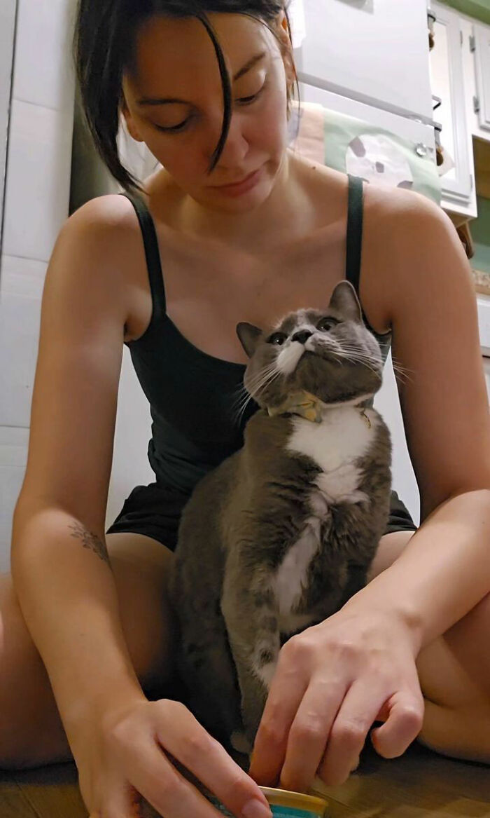 Woman gently sitting with her cat who hated taking pills until his human found a brilliant way to make it work
