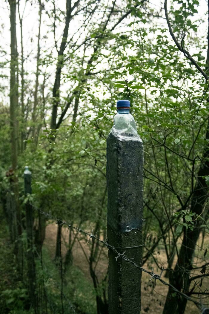 Plastic bottle repurposed as a cap on a fence post demonstrating redneck engineering creativity in an outdoor wooded area.