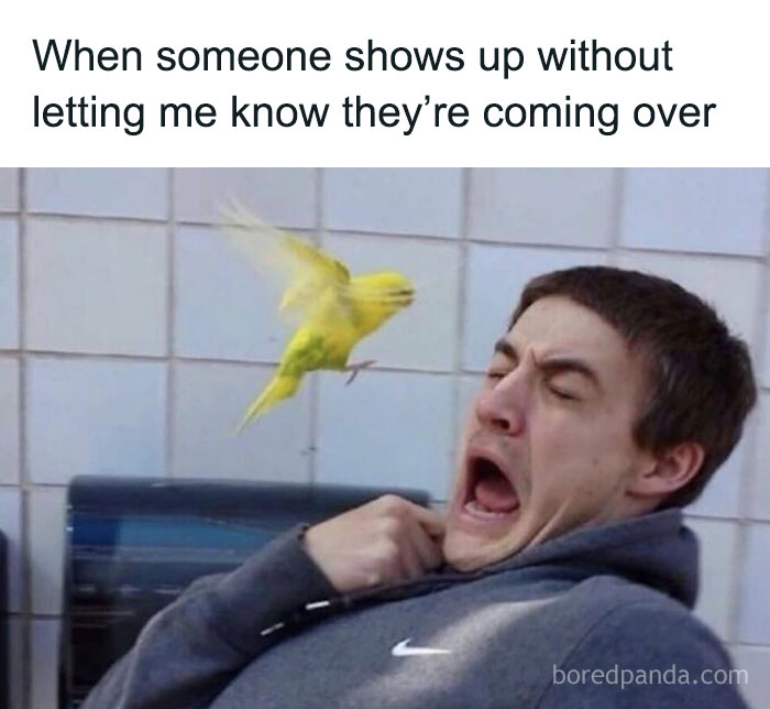A man reacting with fear as a yellow bird flies close to his face, illustrating social anxiety memes humorously.