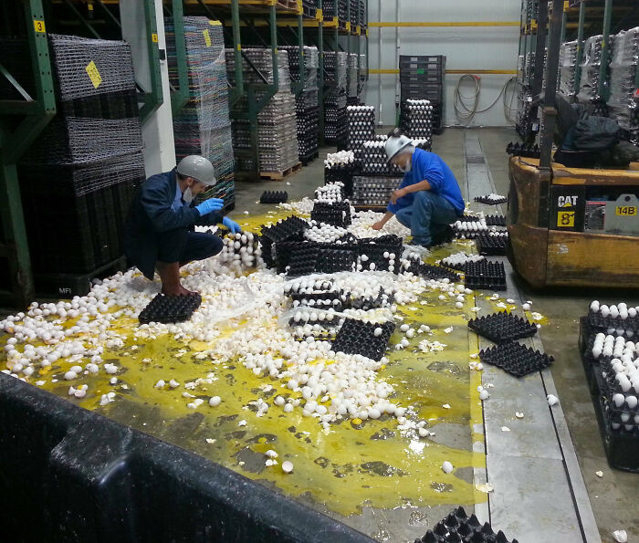 Workers cleaning up a massive egg spill in a warehouse, showcasing one of the epic work fails in an industrial setting.