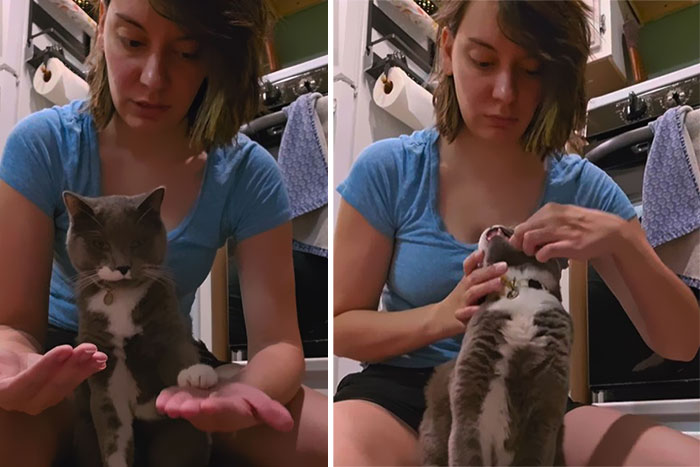 Woman giving a pill to a cat who hated taking pills until his human found a brilliant way to make it work.