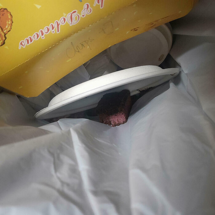 Discarded cake slice stuck under a broken plate in a trash bin, illustrating an epic work fail moment.