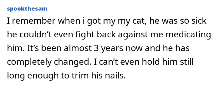 Text post describing how a cat hated taking pills but was medicated successfully over three years by his human.
