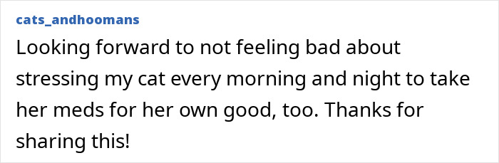 Cat reluctantly taking pills with a human using a clever method to make the process easier and stress-free.
