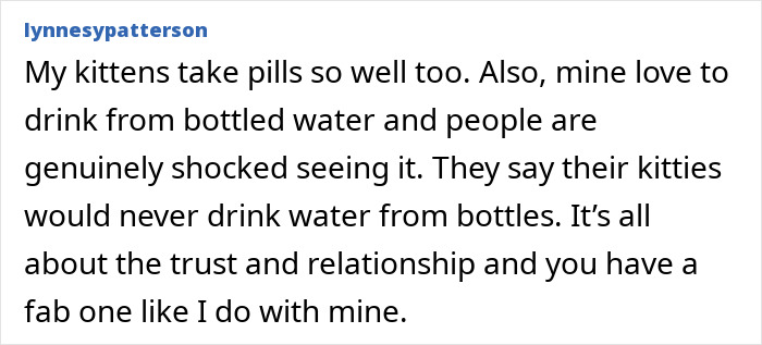 User comment about kittens taking pills easily, highlighting trust and relationship with pets for successful pill administration.
