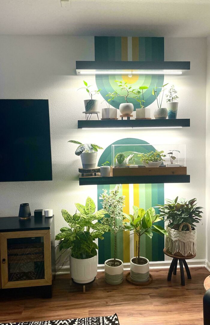 Indoor living space revamp featuring modern floating shelves with potted plants and colorful wall art accents.