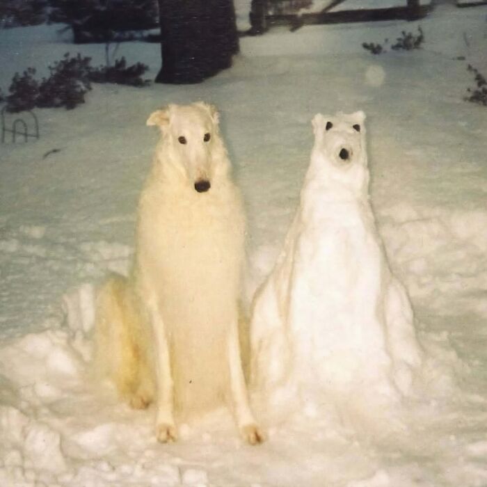 A dog sitting in the snow next to a snow sculpture that looks like a dog in a bizarre and confusing scene.