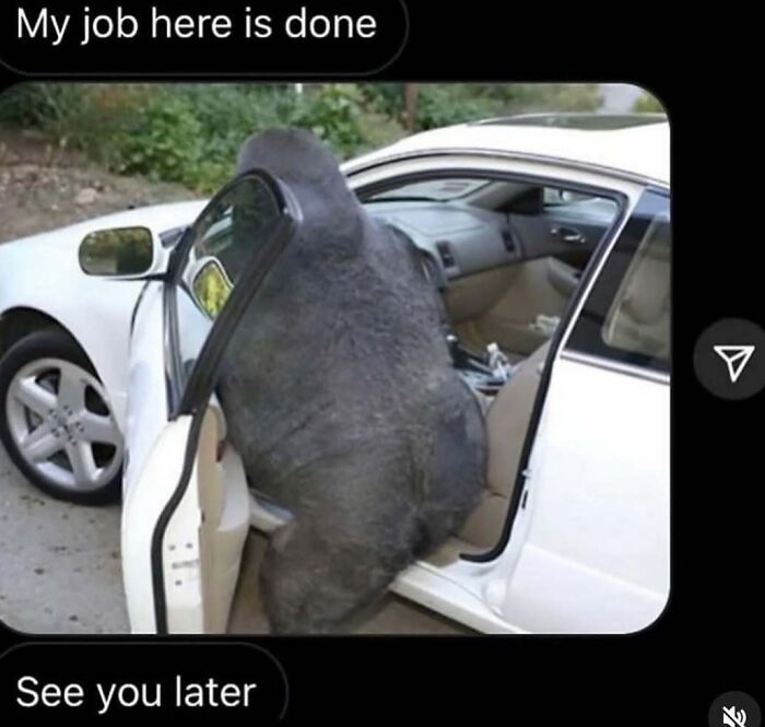 A large gorilla figure stuck in a white car door, creating a bizarre and confusing visual puzzle.