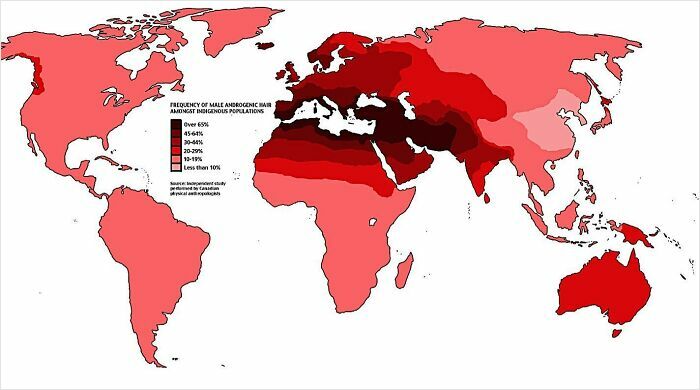 World map showing frequency of male androgenic hair among indigenous populations with varying red shades for concentration levels.