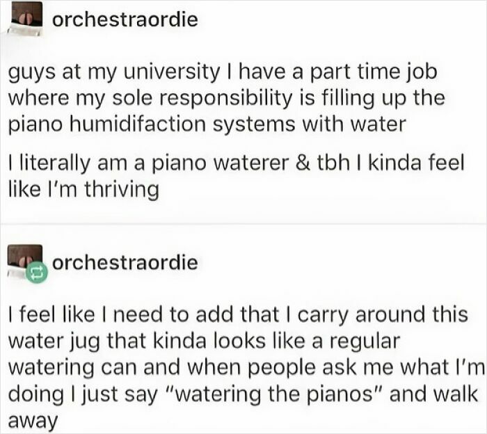 Funny work meme about a part-time job filling piano humidification systems, feeling like thriving while watering pianos.