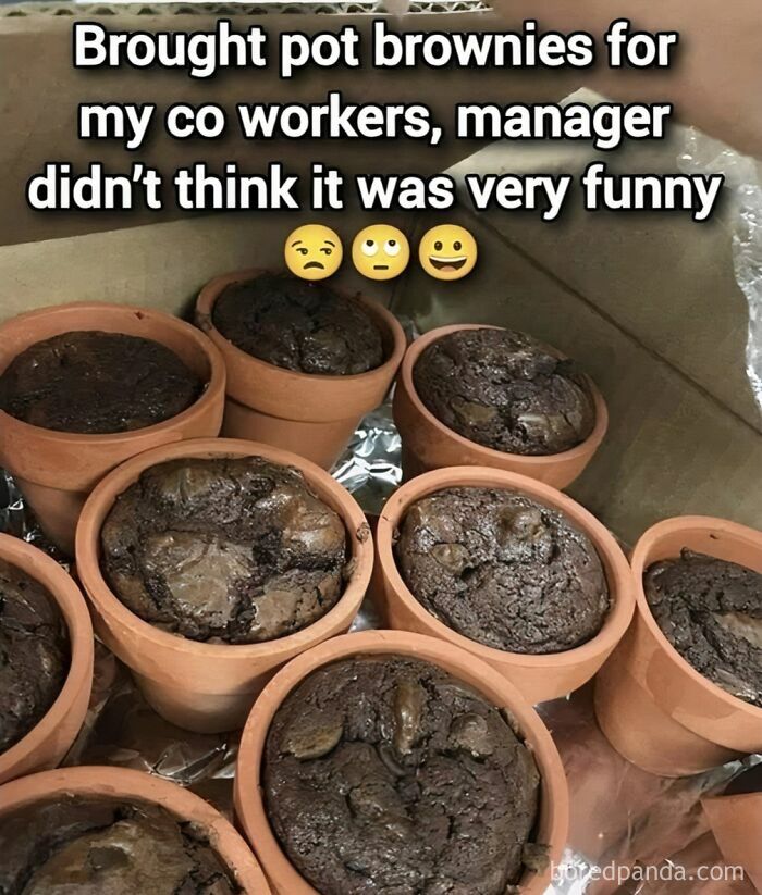 Pot brownies baked in small flower pots as a funny work meme about coworkers and manager reactions.