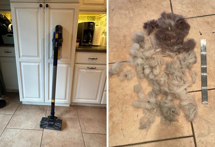 Cordless vacuum cleaner standing in a kitchen next to a pile of pet hair on tiled floor during Prime Day deals.