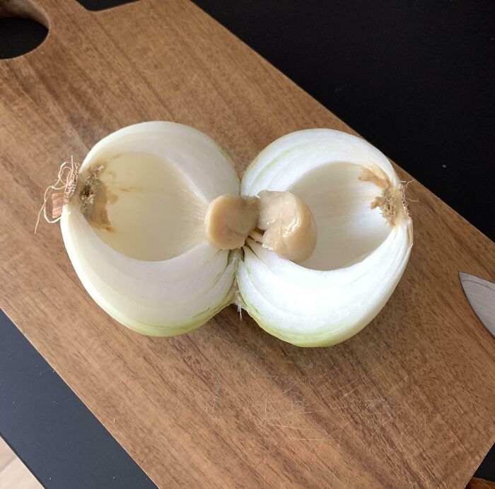 Mildly interesting onion with unusual growth inside, cut open on a wooden cutting board, showcasing a rare vegetable anomaly.