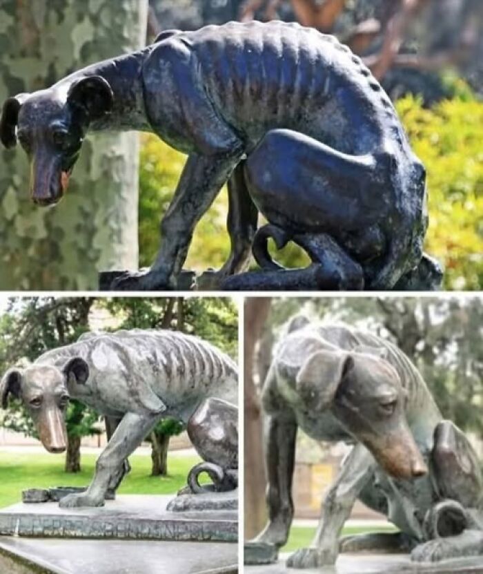 Bronze sculpture of a skinny dog in a park, showcasing the wonderful world of wholesome and amazing art posts.