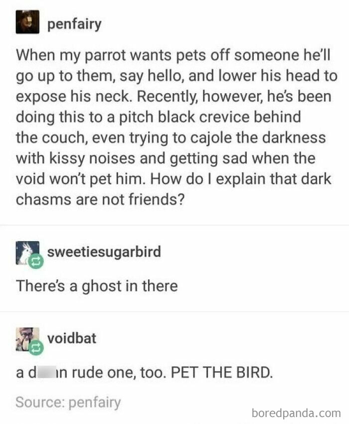 Tumblr post about a parrot trying to get pets from a dark crevice, highlighting random yet relatable Tumblr moments.