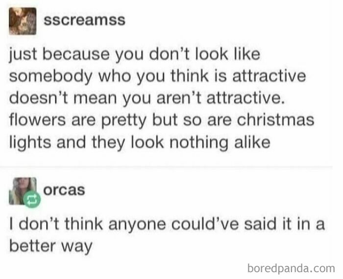 Tumblr posts showing relatable thoughts on attractiveness and unique beauty, capturing random yet meaningful moments.