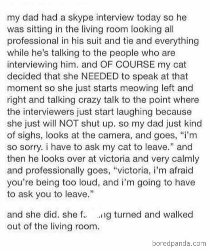 Tumblr post about a dad’s funny Skype interview disrupted by his cat, showing relatable random moments on Tumblr.