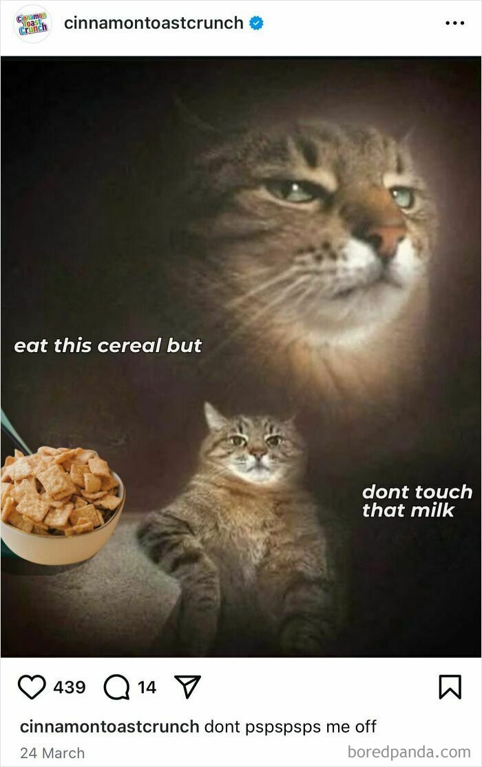 A humorous social media post featuring a cat with cereal and milk, showcasing funniest things on official accounts.
