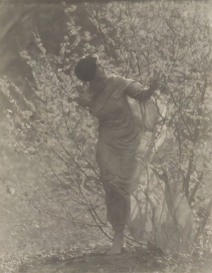 Vintage photo of a woman from the 1900s surrounded by blooming branches, showcasing the beauty of women in early photography.