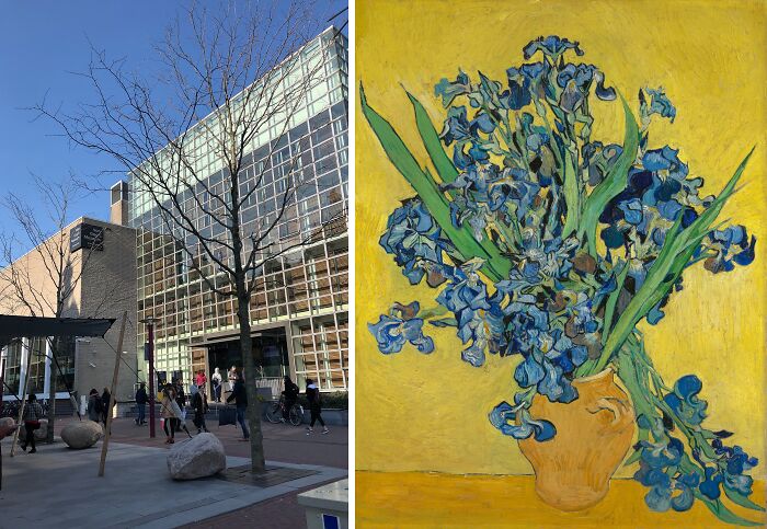 Van Gogh's famous Irises painting displayed at the location of the most famous paintings collection.