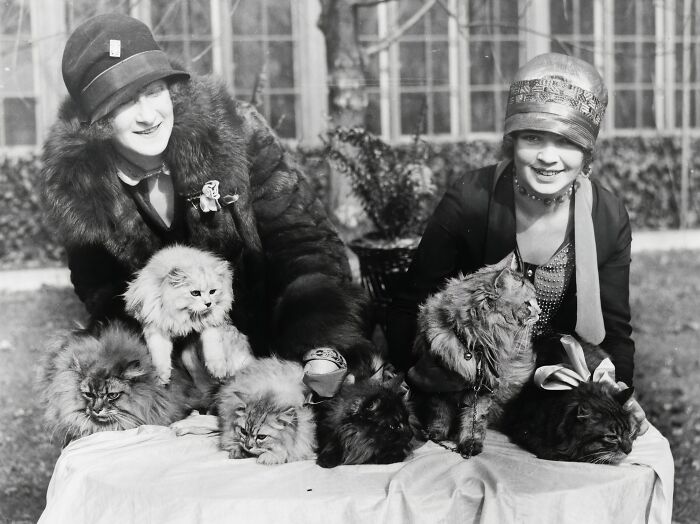 Two women in 1920s fashion with several fluffy cats, a vintage historical photo of Washington, D.C. from the 1920s.