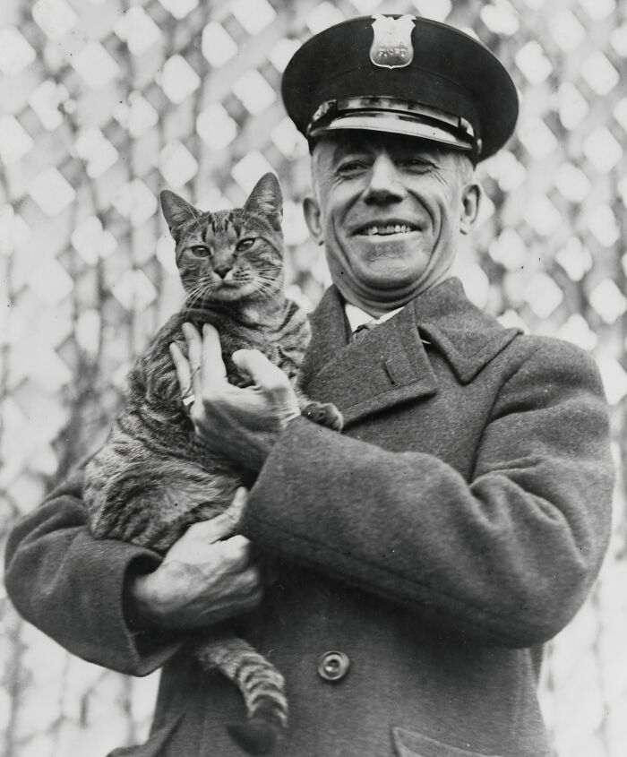 Vintage black and white photo of a smiling police officer in Washington, D.C., holding a tabby cat from the 1920s era.