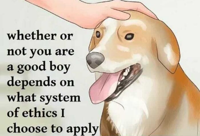 Hand petting a happy dog with a philosophical meme on ethics about being a good boy, related to philosophical memes.