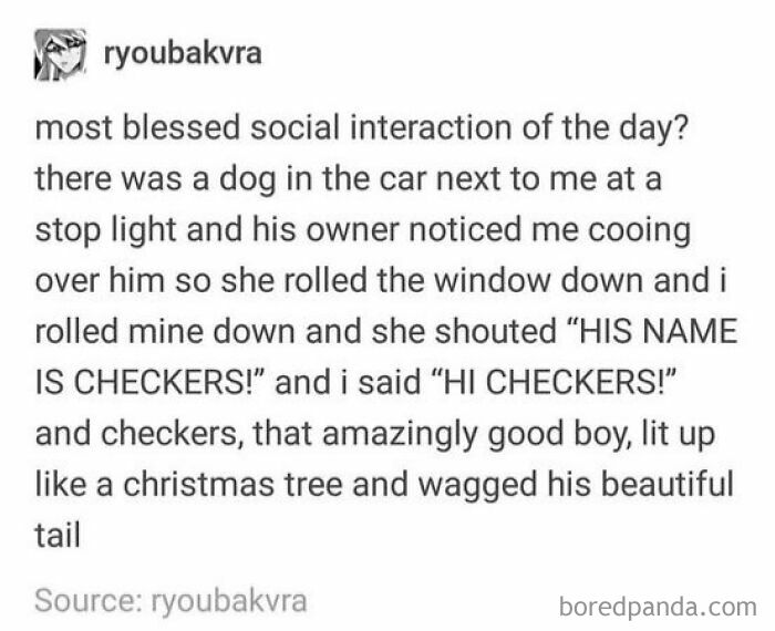 Tumblr post about a random, relatable social interaction involving a dog named Checkers wagging his tail happily.