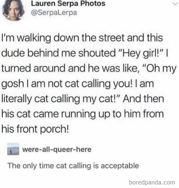Tumblr post sharing a funny, random moment of cat calling a cat instead of a person, highlighting relatable humor.