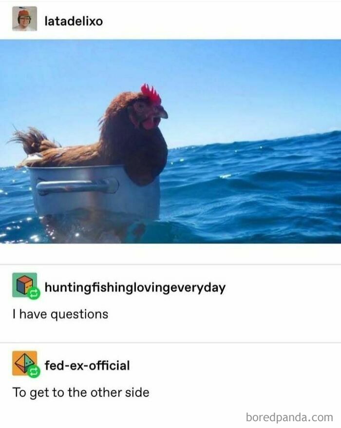 Chicken sitting in a pot floating on the ocean with humorous Tumblr posts showing random yet relatable content.