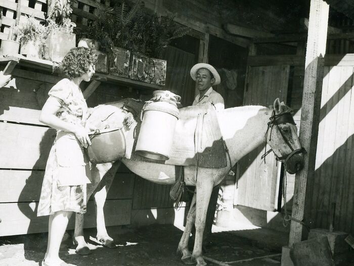 Black and white rare historical photograph showing a woman and man with a horse carrying milk cans in a rural setting.